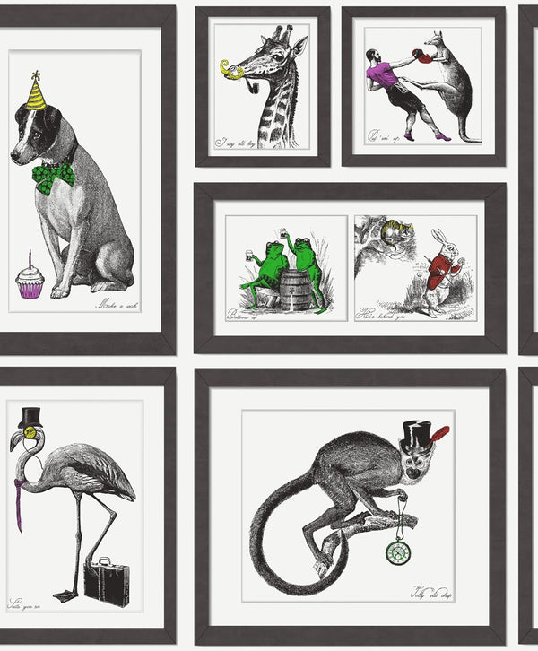 Holden Decor Mad Dogs Framed Multi Wallpaper