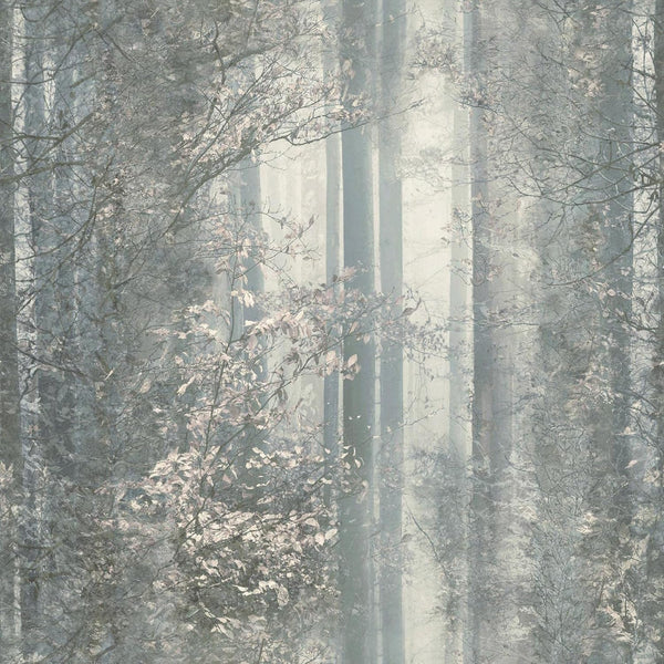 Muriva Woodlands Forest Trees Green Wallpaper