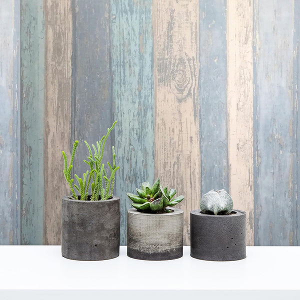 Coloroll Wood Panel Blue Wallpaper