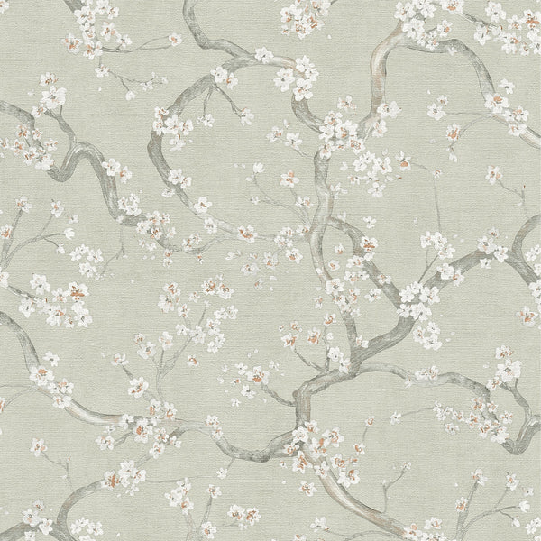AS Creation Blossom Flowers Sage Green Wallpaper