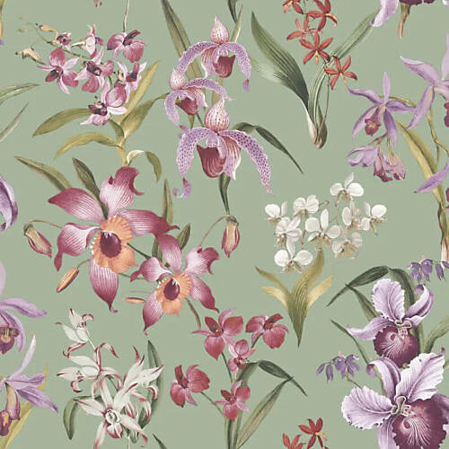 Rasch Maya Orchard Sage Green Wallpaper